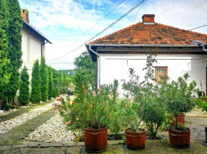 Casa Petrescu